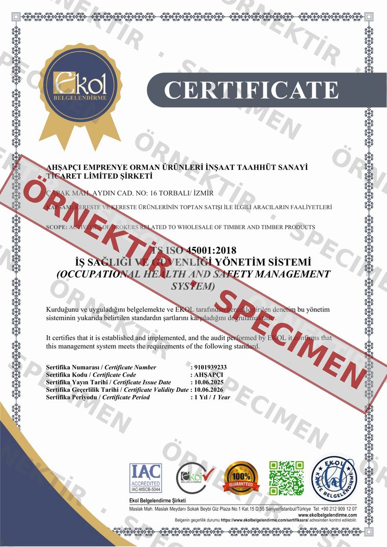 TS ISO 45001:2018 Occupational Health & Safety Management System belgesi — örnektir