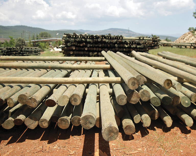 Poles with the impregnation process completed